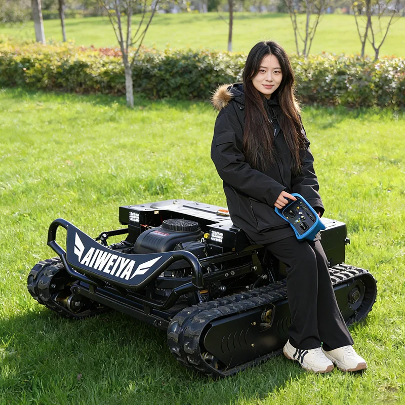 Customized Remote Control Rpbotoc Lawn Mower - Image 4