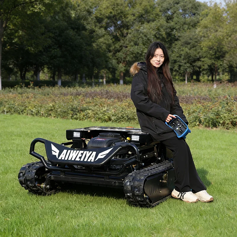 Customized Remote Control Rpbotoc Lawn Mower - Image 3